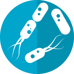 IHU Méditerranée Infection, les antibiotiques et les microbiotes